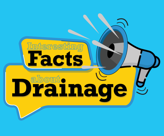 Interesting facts about drains shepperton weybridge